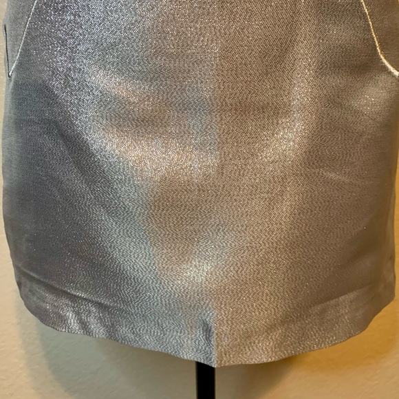 Silver Mini Skirt - Picture 5 of 14